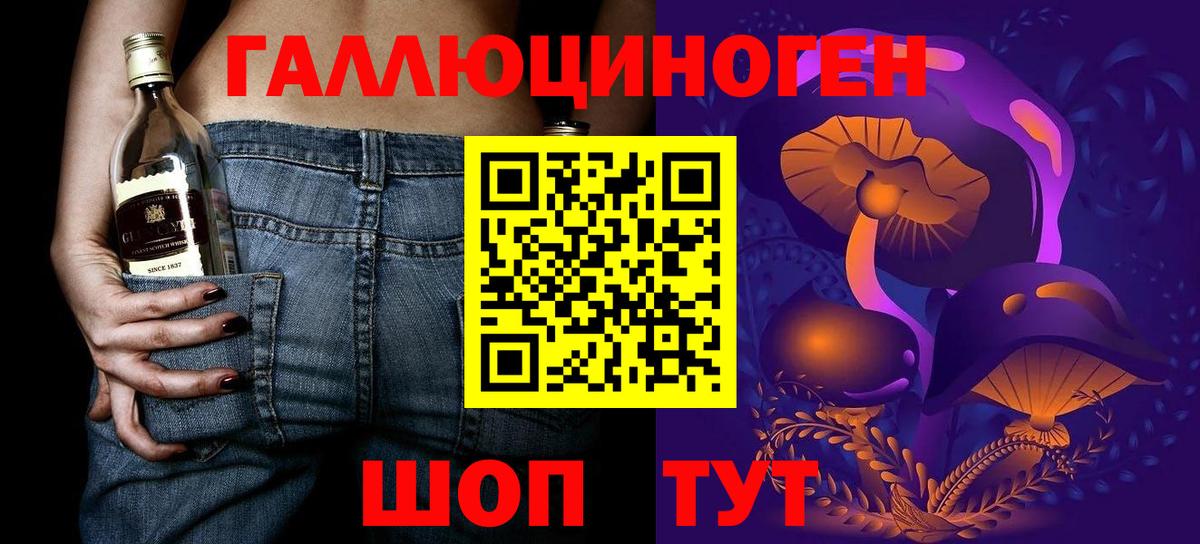 Новокубанск  цена   Вход с VPN  Псилоцибиновые грибы Psilocybe  Галлюциногенные грибы Psilocybine cubensis 